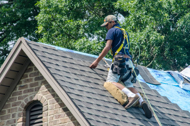 Best Local Roofing Companies  in Breckenridge Hills, MO